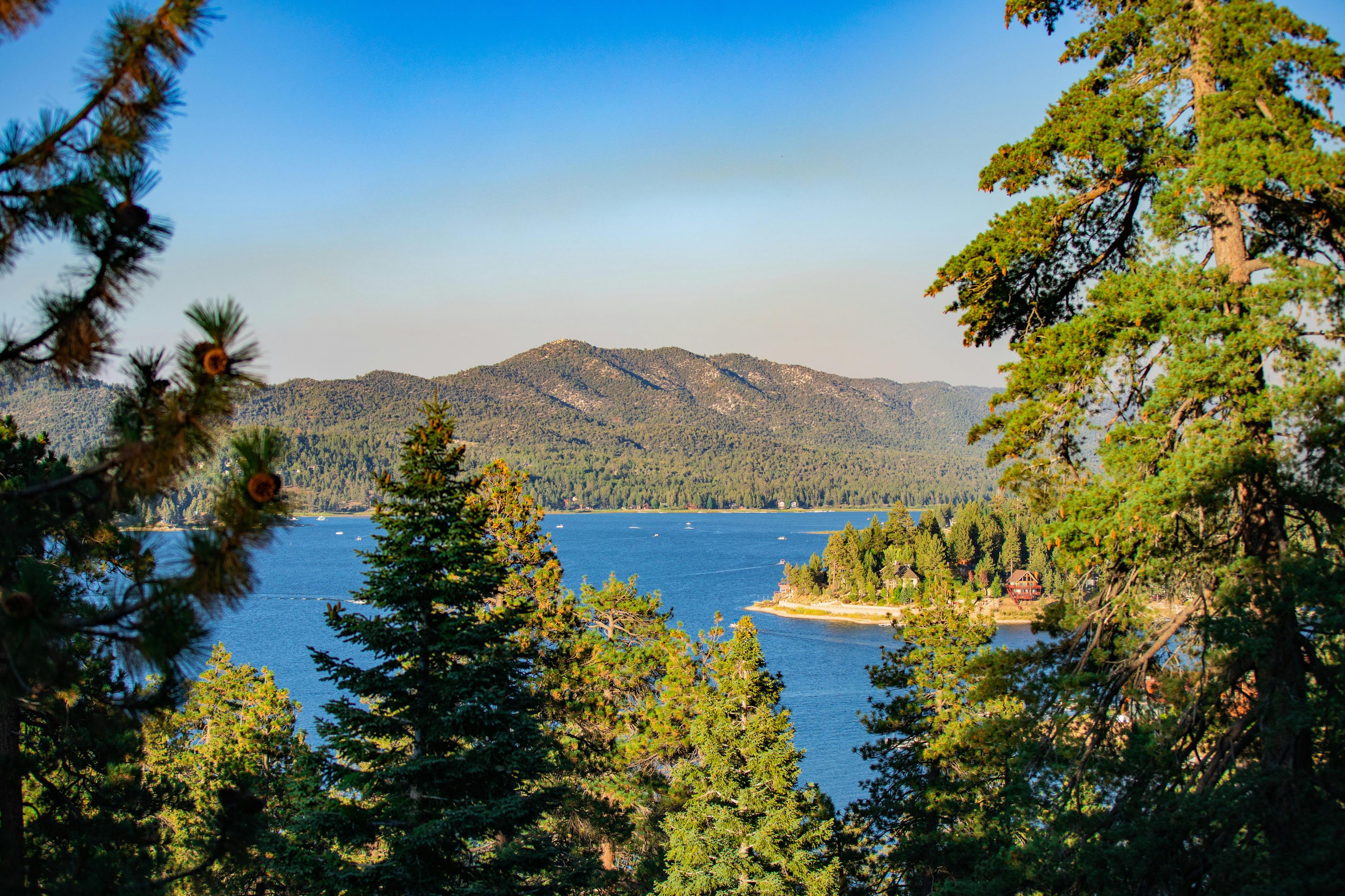 Big Bear Lake framed by pine trees, with forested mountains rising beyond the water