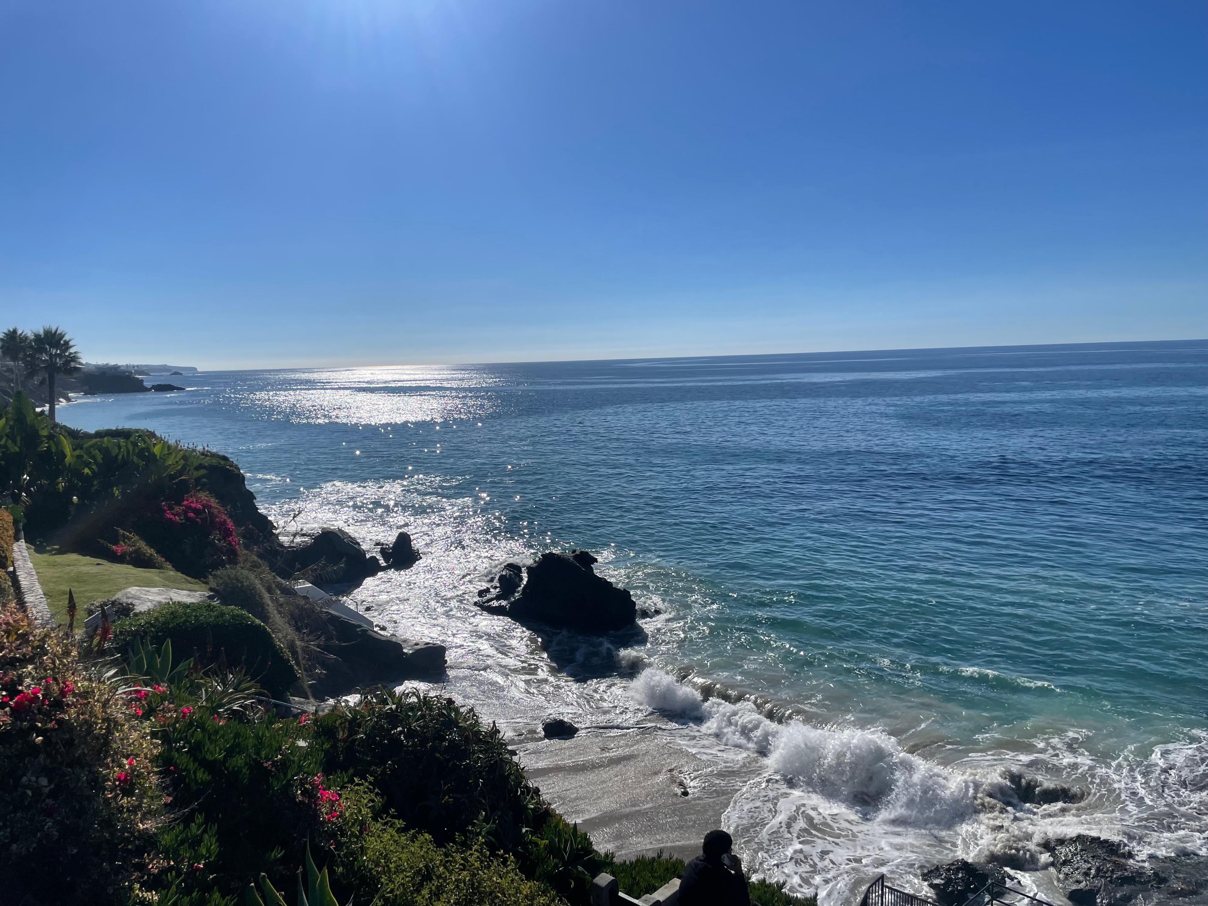Looking down from a flowering coastal bluff at waves breaking around rocks along a sunlit Pacific shoreline